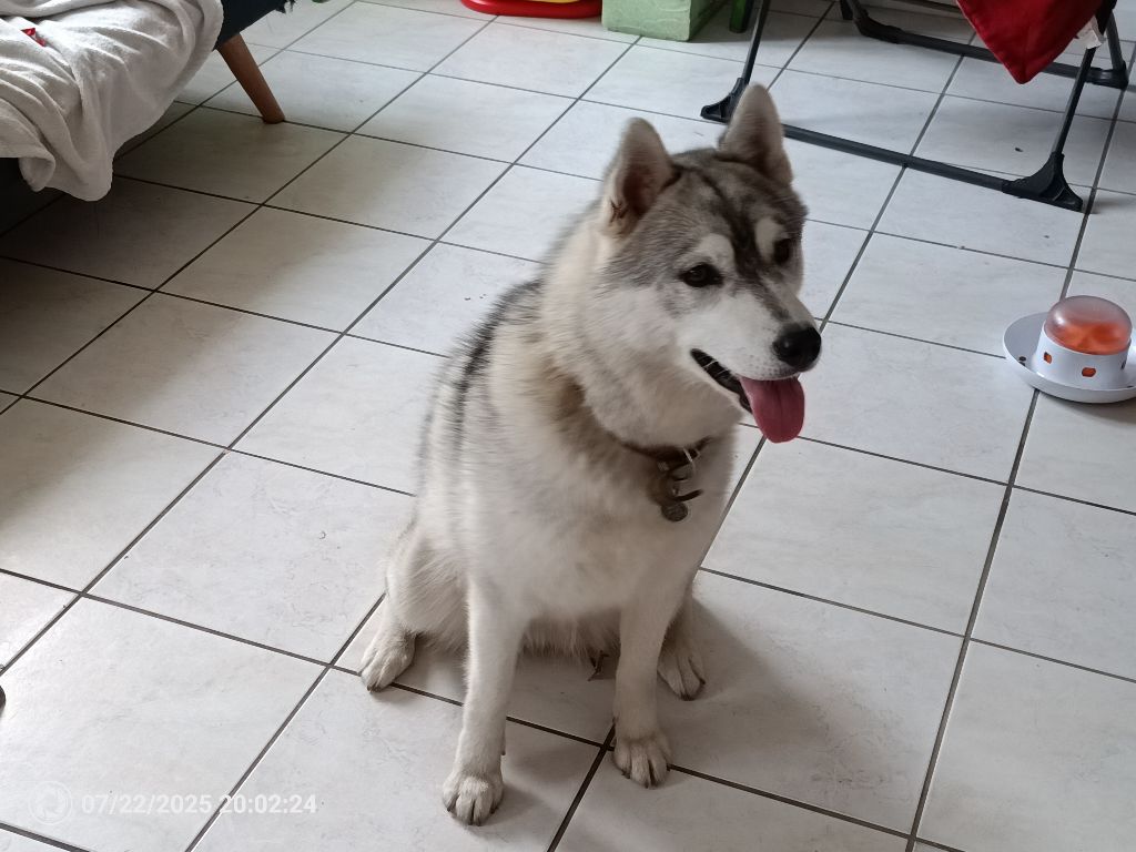 Venise feel vacation Du Phoenix D'Or